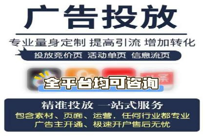 搜索引擎营销（SEM）在本地市场的投放案例